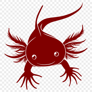 Close-up illustration of a Axolotl in full body view, suitable for vector art design.