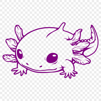 An illustration of a full-body axolotl animal with detailed features.