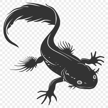 Artistic Axolotl SVG, PNG, PDF And DXF Files