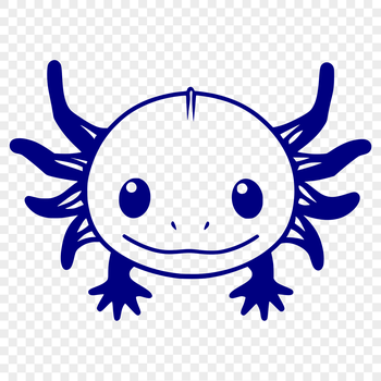 An axolotl's head, a type of aquatic animal native to Mexico.