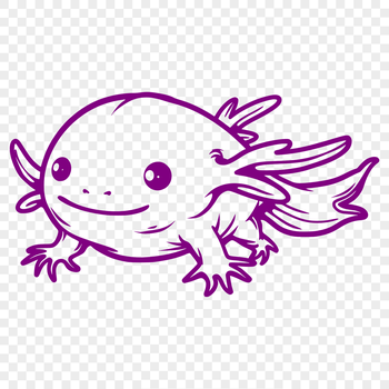 A simple line drawing illustration of a Mexican salamander known as the axolotl.