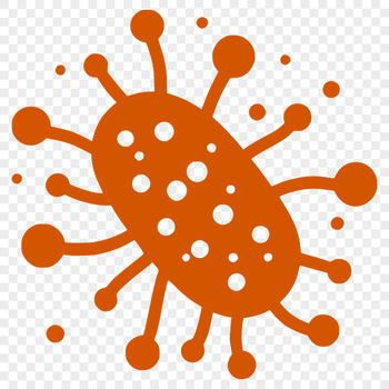 Vector illustration of a single cell bacterium with detailed cellular structure.
