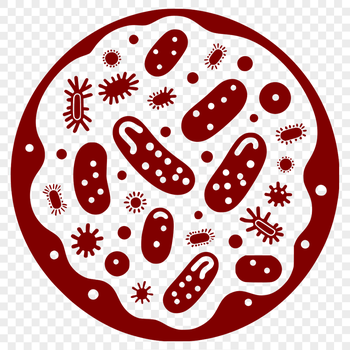A detailed illustration of bacteria with intricate details.