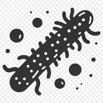 Bacterial cell illustration for graphic design projects, available in vector format.