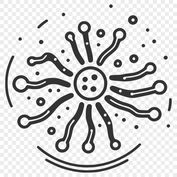 A detailed illustration of a bacteria cell with its cell membrane and flagella.
