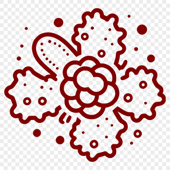 A close-up illustration of a single bacterium under magnification.