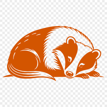 A detailed illustration of a sleeping wild animal, specifically a badger.