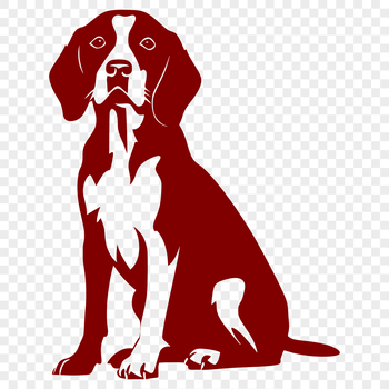 A full-body illustration of a sitting Beagle with floppy ears.