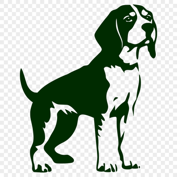 A close-up illustration of a standing Beagle with its head held high.