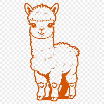 A South American camelid animal with a soft, fuzzy coat.
