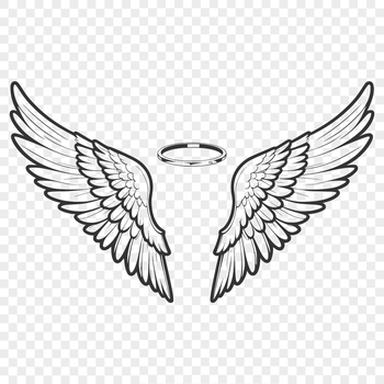 Angel Wings Design, a stylized vector illustration featuring delicate, feathered wings with intricate details.