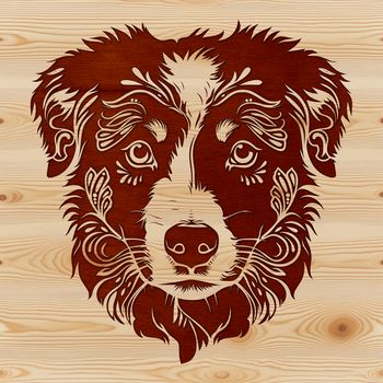 A stylized illustration of a friendly Australian Shepherd dog's head.