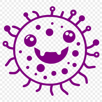 A detailed illustration of a bacteria cell in vector format.