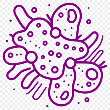 A detailed illustration of a bacterium with various components labeled, suitable for educational or reference purposes.