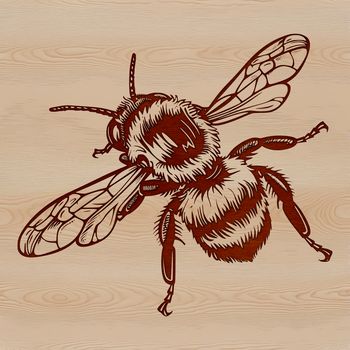 A vector illustration of a bee in mid-air.