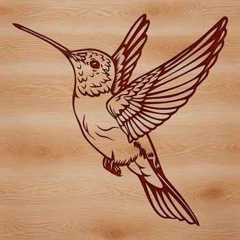 A vibrant illustration of a hummingbird in flight, highlighting its distinctive feathers and beak.