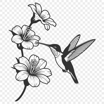 Vector illustration of a hummingbird in flight amidst a floral arrangement.