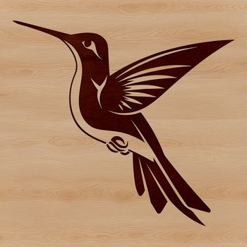 A colorful hummingbird in mid-air, with iridescent feathers and beak, symbolizing wildlife and nature.