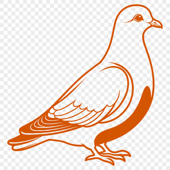 Illustration of a White Dove in vector format