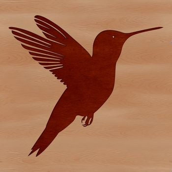 A colorful hummingbird in mid-air, its wings spread wide as it flutters from flower to flower.