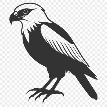 A high-quality vector illustration of a falcon bird in flight, suitable for commercial use with free download.