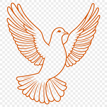 A white dove with outstretched wings symbolizing peace and serenity.