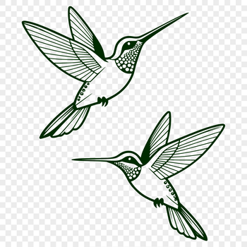 A colorful illustration of a hummingbird perched on a flower, created as vector art.