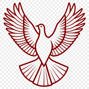 White dove perched on a branch, symbolic bird from various religious traditions.