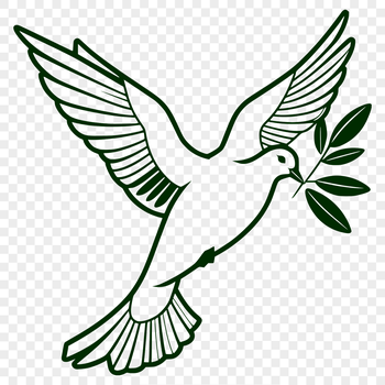 White dove perched on a branch, symbolizing peace and tranquility.