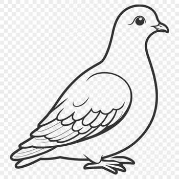 A detailed illustration of a bird, specifically a dove, created as an SVG file.