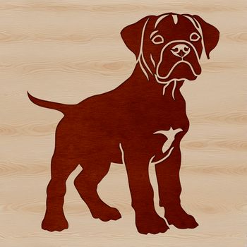 Illustrative SVG graphic of a standing Boxer dog breed.