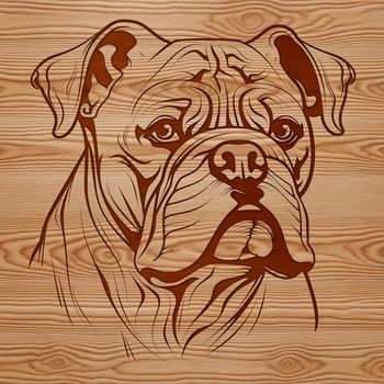 A close-up illustration of a bulldog's head, suitable for digital cut-out and vector design.