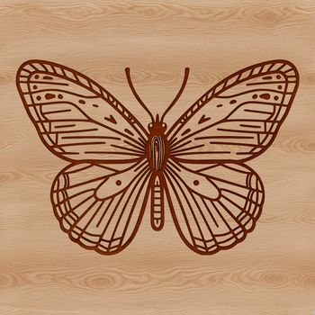 A colorful illustration of a butterfly with intricately detailed wings.