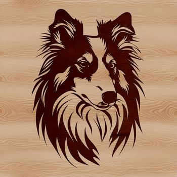 An SVG vector image of a Shetland sheepdog's face, suitable for various design applications.