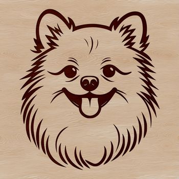 A stylized vector illustration of a small dog breed, specifically a Pomeranian.