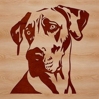 An illustration of a Great Dane animal, suitable as vector art for personal or commercial use.
