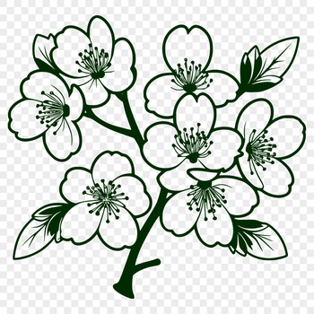 A delicate illustration of a blooming cherry blossom tree with pink flowers against a light blue background.