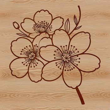 A delicate illustration of a cherry blossom in full bloom, ideal for digital design and craft projects.