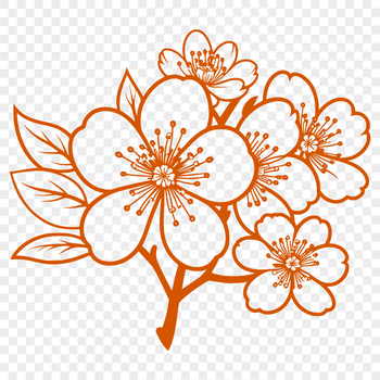 A delicate illustration of a cherry blossom in full bloom, suitable for digital and craft applications.