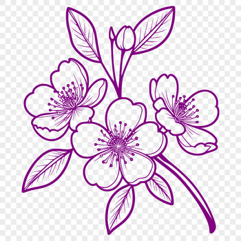 A detailed vector graphic representation of a single sakura flower.