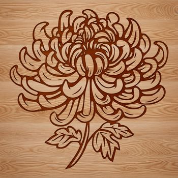 A detailed illustration of a single chrysanthemum flower with petals and center, suitable for gardening and floral designs.