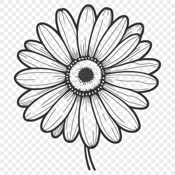 A stylized illustration of a daisy flower made in vector format using SVG technology.