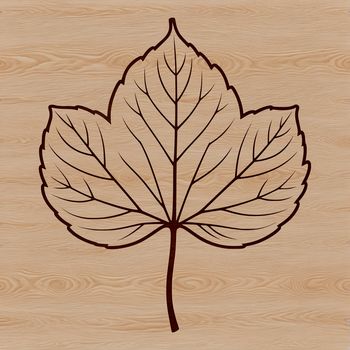 A detailed illustration of a single leaf with intricate details, suitable for digital design and cutting machines.