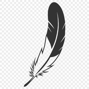 A stylized illustration of a single feather in a 2D vector format.
