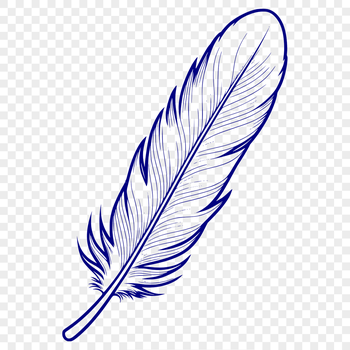 A detailed vector illustration of a single bird feather with subtle shading and texture.