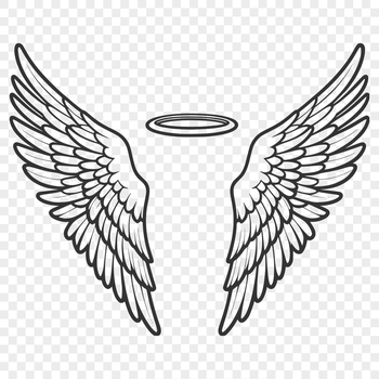 A pair of delicate, stylized angel wings in vector format, suitable for various design applications.