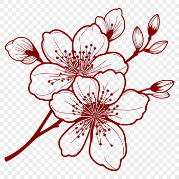 A stylized vector graphic representation of a single sakura flower with delicate petals.