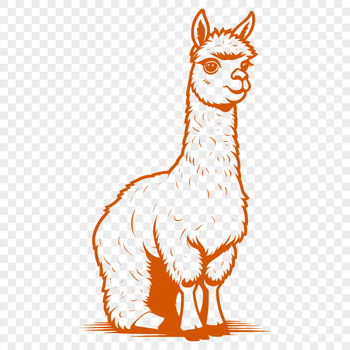 Vector illustration of a standing alpaca with realistic texture.