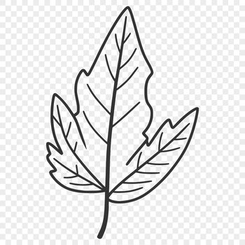 A single leaf with a rounded shape and pointed tip, suitable for vector design and cutting machine projects.