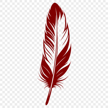 A high-quality vector graphic of a single bird feather for various designs.